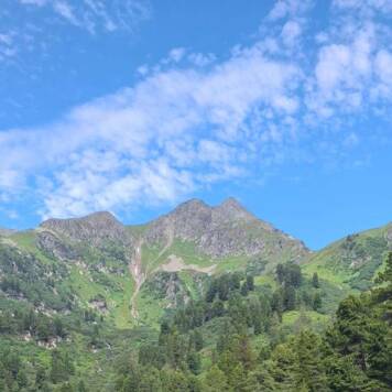 Dietmar aus Urfahr-Umgebung