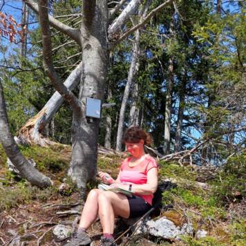 Ingrid aus Kirchdorf