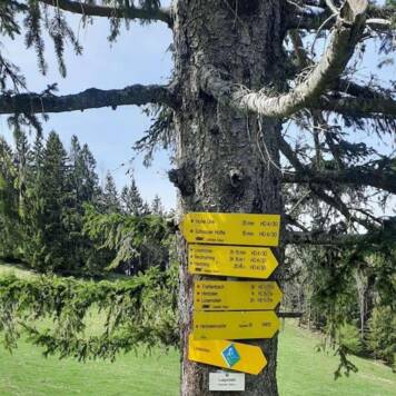 Ingrid aus Kirchdorf