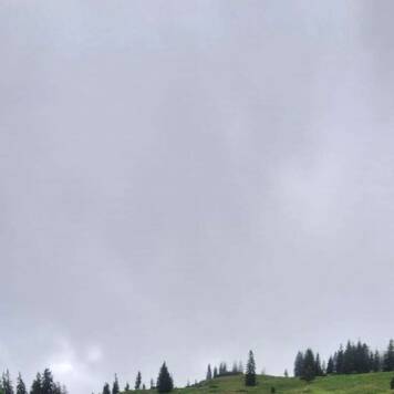 Dietmar aus Urfahr-Umgebung