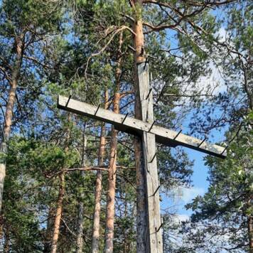 Ingrid aus Kirchdorf