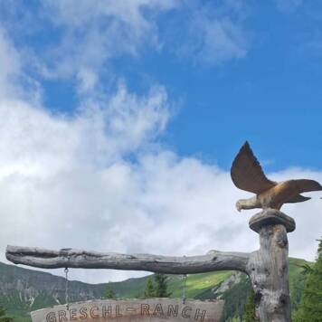 Dietmar aus Urfahr-Umgebung