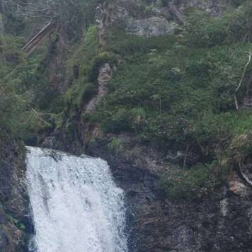 Elisabeth aus Urfahr-Umgebung