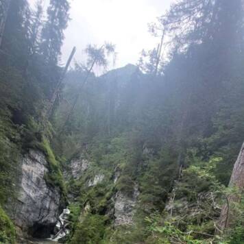 Elisabeth aus Urfahr-Umgebung