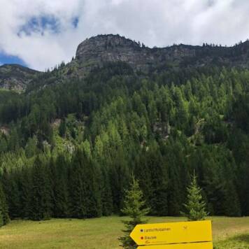 Dietmar aus Urfahr-Umgebung