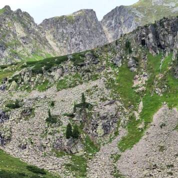 Dietmar aus Urfahr-Umgebung