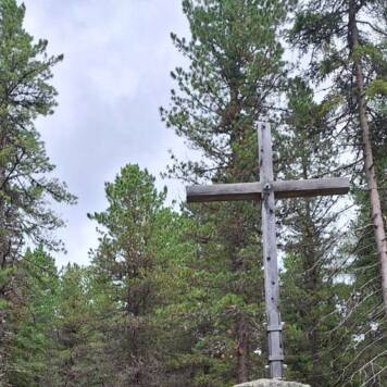 Dietmar aus Urfahr-Umgebung