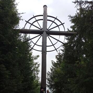 Renate aus Vöcklabruck