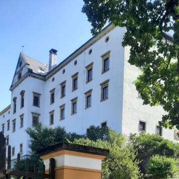 Ingrid aus Kirchdorf