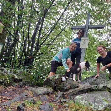 Claudia aus Amstetten