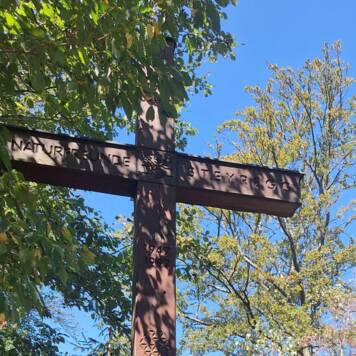 Dietmar aus Urfahr-Umgebung