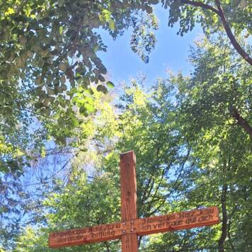 Dietmar aus Urfahr-Umgebung