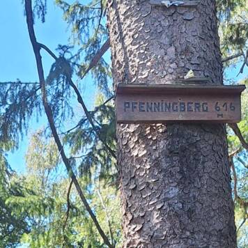 Dietmar aus Urfahr-Umgebung