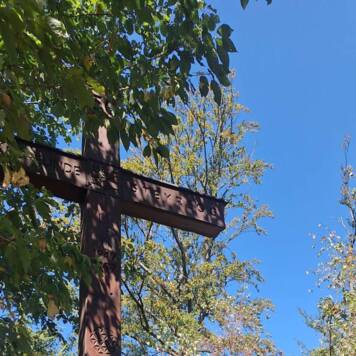 Dietmar aus Urfahr-Umgebung