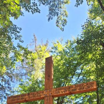 Dietmar aus Urfahr-Umgebung