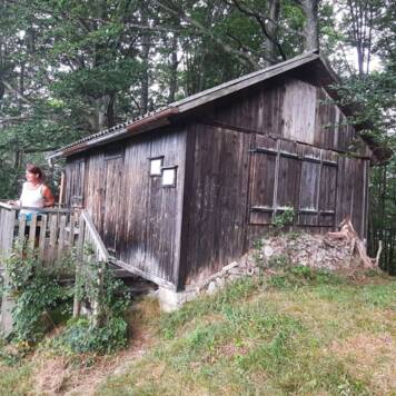 Ingrid aus Kirchdorf