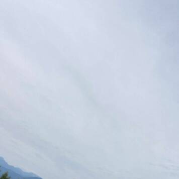 Gabriele aus Amstetten