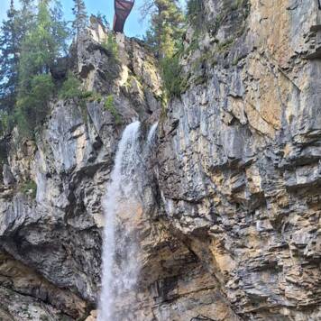 Dietmar aus Urfahr-Umgebung