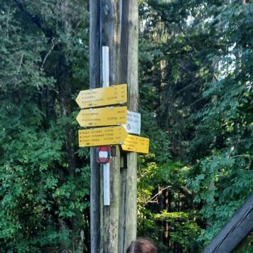 Ingrid aus Kirchdorf