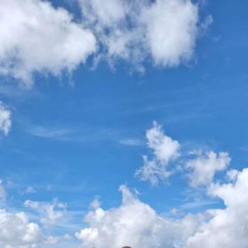 Dietmar aus Urfahr-Umgebung