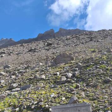 Dietmar aus Urfahr-Umgebung