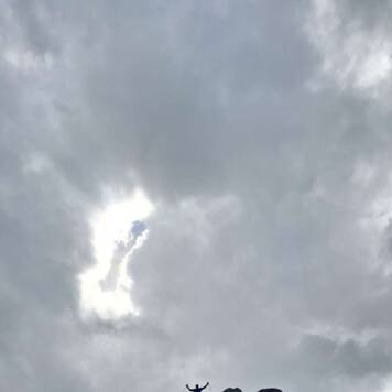 Dietmar aus Urfahr-Umgebung