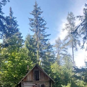 Elisabeth aus Urfahr-Umgebung