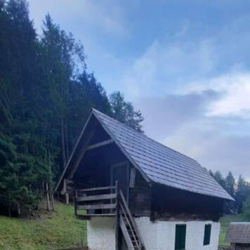 Ingrid aus Kirchdorf