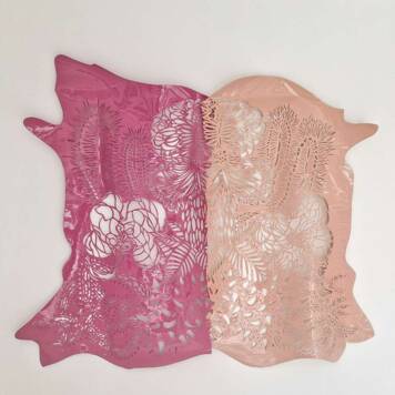 Cloudroots and paperhill