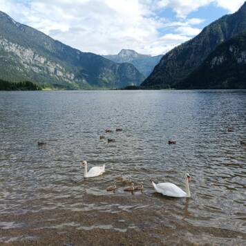 Isabella aus Gmunden