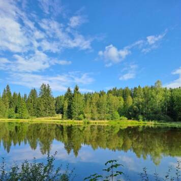 Rudolf aus Linz-Land