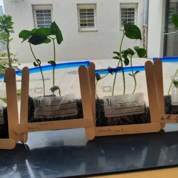  Green Chemistry - IBMS (MS 1)