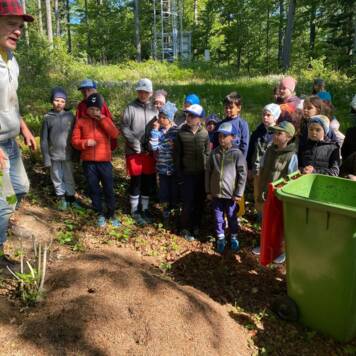  Übersiedelung Ameisenhaufen - Volksschule St. Stefan am Walde