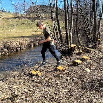  Forest Jump - Technische Fachschule Haslach
