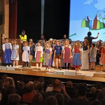  Prof. Dr. Gugelhupf und die Drohnenamazonen - VS Großraming