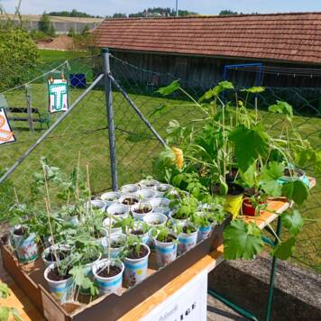  Pflanzenflohmarkt - Volksschule Meggenhofen