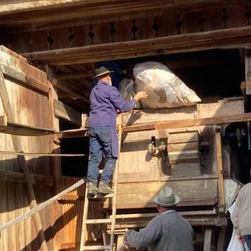  Vom Korn zum Brot - VS Neuhofen