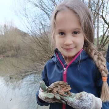  Kröten Zaun - Privatschule Lernschmiede