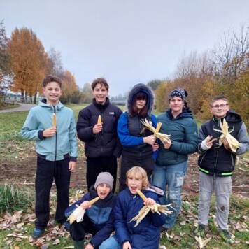  Popcornmais - Mittelschule Lenzing
