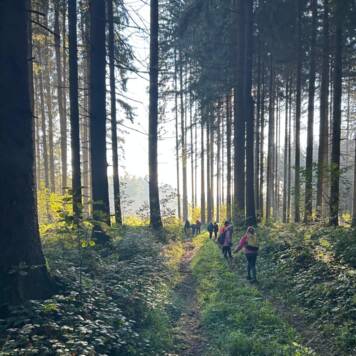  Schule trifft Wald - Volksschule Kirchham