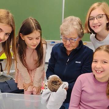  Ein Zuhause für den Igel - Scola private Sekundarstufe