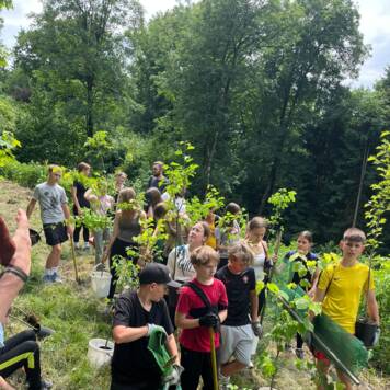  Wir pflanzen Bäume – Klimaschutz zum Anpacken - Georg von Peuerbachgymnasium