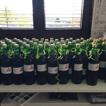  Es begann mit einem Wandertag ... - VS Neuhofen