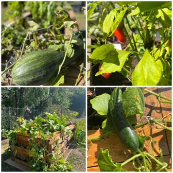  Gartenzeit - Nachhaltigkeit im Jahreskreis - Polytechnische Schule Perg