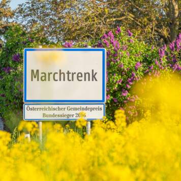 Stadtgemeinde Marchtrenk 