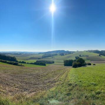 Gemeinde Enzenkirchen 