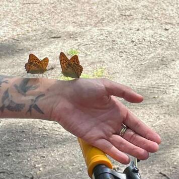 Edeltraud aus Freistadt