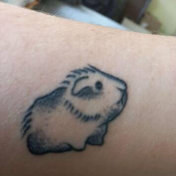 Sabine  aus Grieskirchen