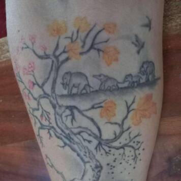 Regina  aus Rohrbach