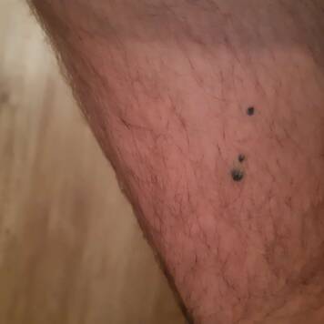 Alexander aus Schärding